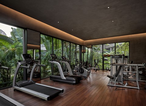 A fitness centre with a view