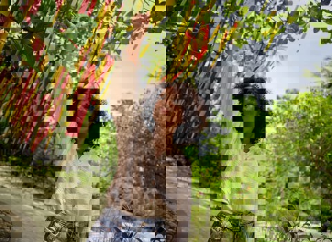 Little Travellers of LUX*